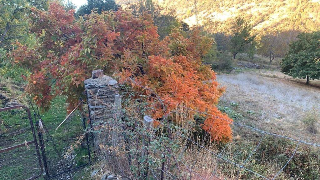 Villa Cortijo Rural El Albercon - Capileira - Alpujarra Rural Exterior foto